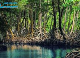 Là một trong top 10 Công ty du lịch uy tín nhất miền Trung, cùng với lịch sử hơn 12 năm phát triển không ngừng, Nam Á Đông Travel đã khẳng định vững chắc vị trí về chất lượng dịch vụ và hiệu quả kinh doanh trên thị trường du lịch trong nước
