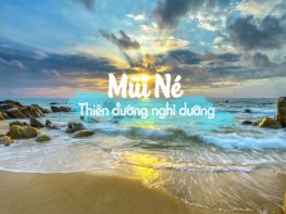 Là một trong top 10 Công ty du lịch uy tín nhất miền Trung, cùng với lịch sử hơn 12 năm phát triển không ngừng, Nam Á Đông Travel đã khẳng định vững chắc vị trí về chất lượng dịch vụ và hiệu quả kinh doanh trên thị trường du lịch trong nước