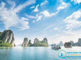 Là một trong top 10 Công ty du lịch uy tín nhất miền Trung, cùng với lịch sử hơn 12 năm phát triển không ngừng, Nam Á Đông Travel đã khẳng định vững chắc vị trí về chất lượng dịch vụ và hiệu quả kinh doanh trên thị trường du lịch trong nước