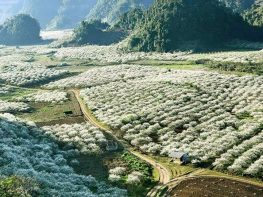 Là một trong top 10 Công ty du lịch uy tín nhất miền Trung, cùng với lịch sử hơn 12 năm phát triển không ngừng, Nam Á Đông Travel đã khẳng định vững chắc vị trí về chất lượng dịch vụ và hiệu quả kinh doanh trên thị trường du lịch trong nước