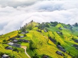 Là một trong top 10 Công ty du lịch uy tín nhất miền Trung, cùng với lịch sử hơn 12 năm phát triển không ngừng, Nam Á Đông Travel đã khẳng định vững chắc vị trí về chất lượng dịch vụ và hiệu quả kinh doanh trên thị trường du lịch trong nước