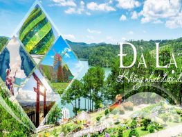 Tour du lịch Đà lạt